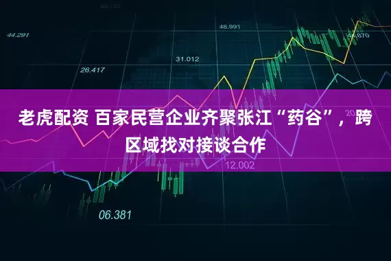 老虎配资 百家民营企业齐聚张江“药谷”，跨区域找对接谈合作