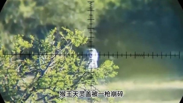 神机策 峨眉山人猴大战致游客坠崖？逐帧核实后，网警查处多名造谣者！