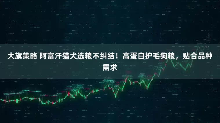 大旗策略 阿富汗猎犬选粮不纠结！高蛋白护毛狗粮，贴合品种需求